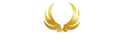 ATRION X